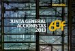 Junta General Accionistas 2013