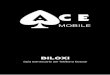 manual del usuario teléfono Celular Ace Biloxi