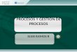 Procesos y gestion de procesos 2014.pptx