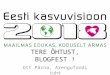 Ott Pärna - Tallinn Blogfest 2010 - Eesti kasvuvisioon 2018