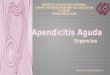 Apendicitis, Apendice
