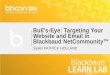 Bulls Eye: Targeting Your Website and Email in Blackbaud NetCommunity