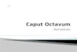 Caput Octavum Derivatives