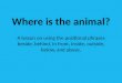 Positional Phrases- Animals