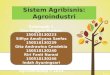 Sistem Agribisnis: Agroindustri
