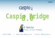 Caspio 8 0 overview - database news reporting and presentation of data on your newspaper’s website