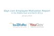 Bayt.com Employee Motivation Report 2013
