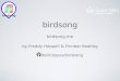 birdsong presentation