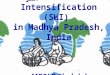 0918 System of Wheat Intensification (SWI) in Madhya Pradesh, India