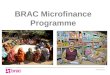 Microfinance Presentation for Board Final 2013