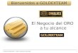 Presentacion Emgoldex -Goldextem 2014 (Castellano)