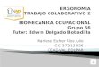 Biomecanica ocupacional colaborativo 2