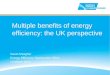 Multiple Benefits of Energy Efficiency: The UK Perspective