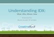 Understanding IDX