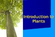 Introduction to plants