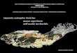 Impronte ecologiche storiche: nuove esperienze nell’analisi territoriale, di Claudio Saragosa, Tommaso Borghini, Marcella Tatavitto