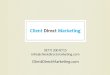 Client Direct Marketing Website Audit PowerPoint