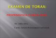 Torax - Propedeutica Clinica