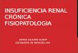 Insuficiencia renal crónica Fisiopatológica USP