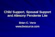 2007 PBI Family Law Update - Support