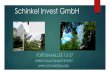 Schinkel Investment in Germany