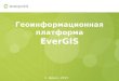 Геоинформационная платформа EverGIS