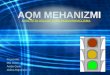 Aqm mehanizmi prezentacija
