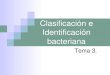 clasificación e identificación bacteriana