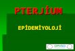 Pterjium epidemiyoloji