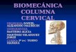 Biomecánica columna cervical