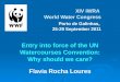Entry into force of the UN Watercourses Convention: why should we care?