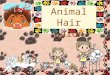 How to Care for Pet Animals - Learn from Animal Hair Salon