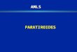 15. paratiroides