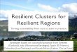 Resilient clusters for resilient regions - Turning sustainability from cost to asset in practice