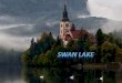 1 swan lake