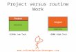 Project versus routine work