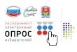 E-voting Novomoskovsk 2008