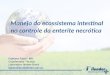 Manejo do Ecossistema Intestinal no Controle da Enterite Necrótica  - Fabiano Fabri