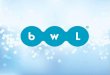 BWL (Best World Lifestyle Philippines) Compensation Plans (Complan) Complete