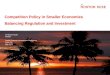 Competition Policy in Smaller Economies: Balancing Regulation & Investment