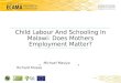 Child labor and schooling in Malawi: Does mother’s employment matter ? by Michael Masiya