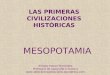 CIVILIZACIONES FLUVIALES: MESOPOTAMIA