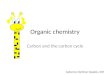 Organic chemistry carbon and carbon cycle