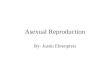 Asexual  Reproduction