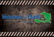 Homes for Haiti Program Overview