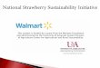 Video Channel Demonstrating Hydroponic Troughs as Year-round Sustainable Strawberry Production Systems