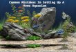 Common mistakeCommon Mistakes In Setting Up A Home Aquarium