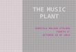 The music plant gabriela molano o