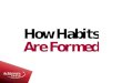 How habits and formed