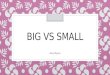 Big vs small2